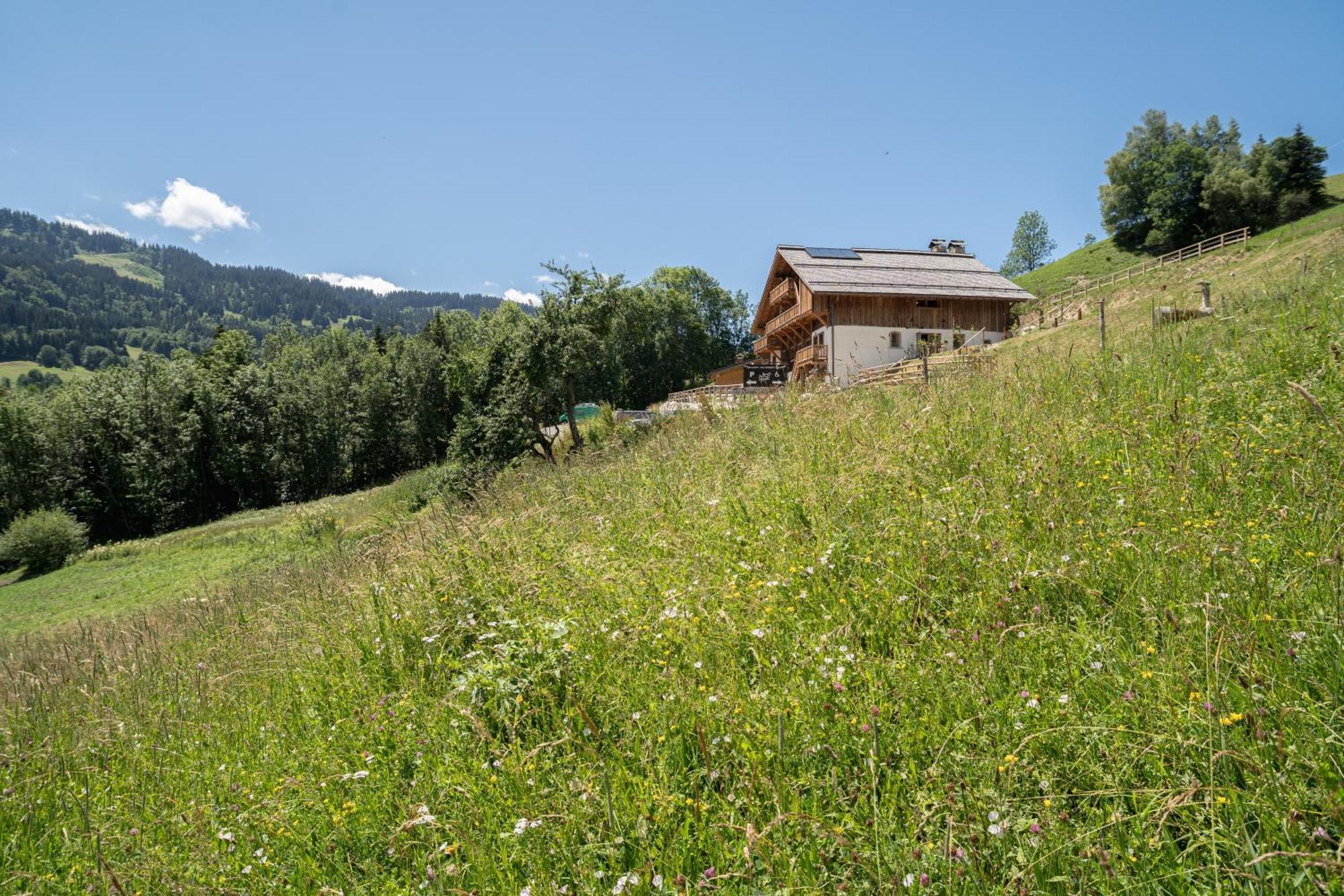 Bed and Breakfast Le Toi Du Monde Flumet Exterior foto